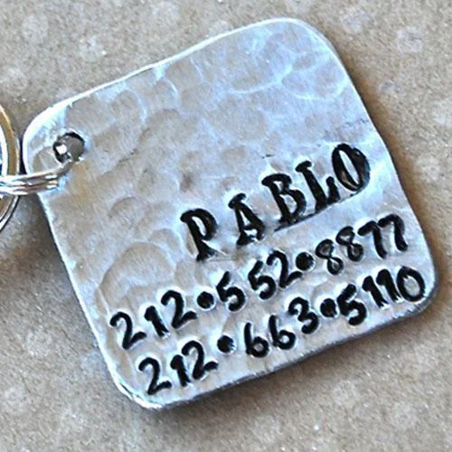 - Pet monitor with cameraPablo Square Dog ID Tag