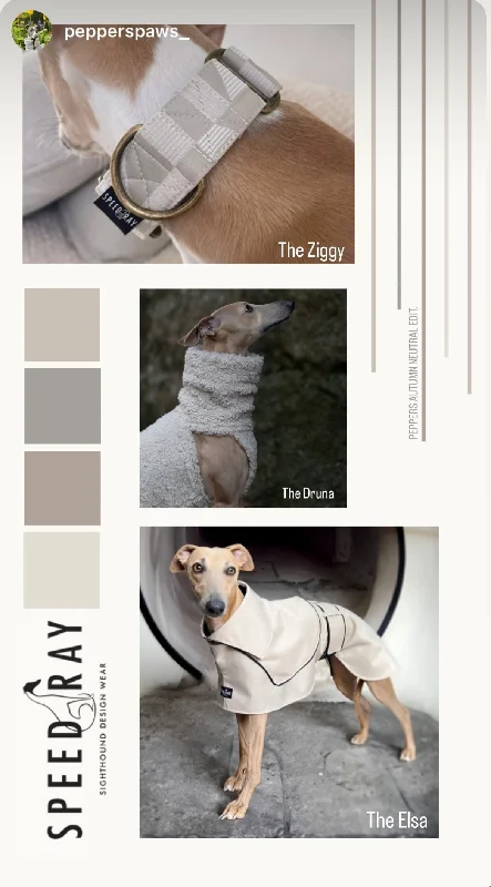 - Dog anti-slip matFull outfit Bundle 7