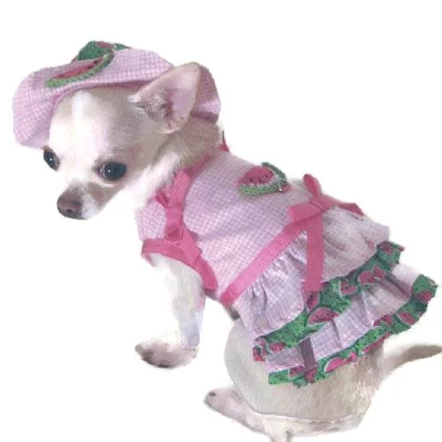 - Chinchilla cooling ice nest ceramic plateSweet Watermelon Dog Harness Dress Set