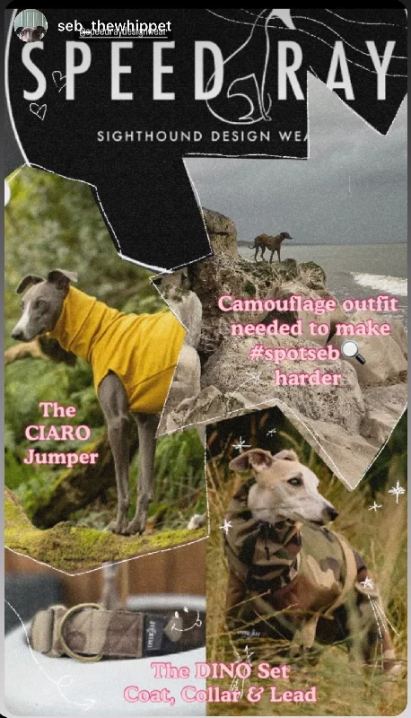 - Pet fence foldable indoorFull outfit Bundle 6