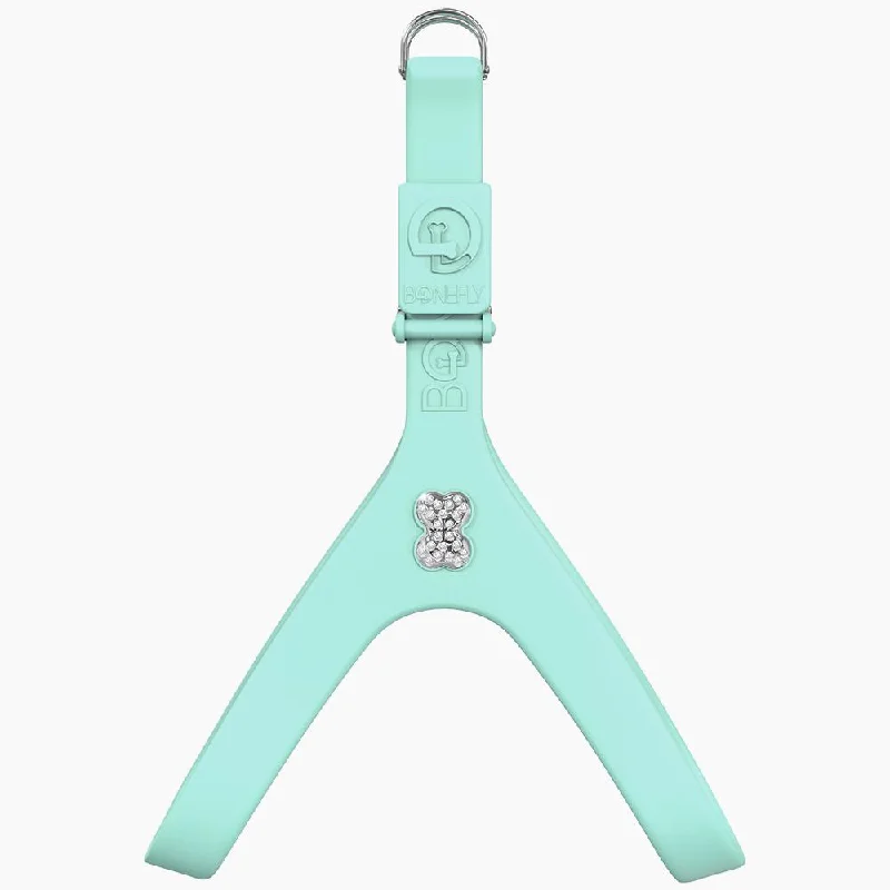Mint & Silver
