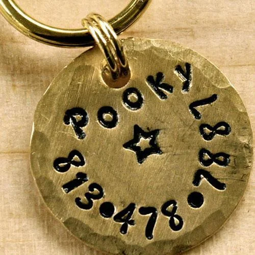 - Pregnant cat delivery room warming boxTiny Dog ID Tag