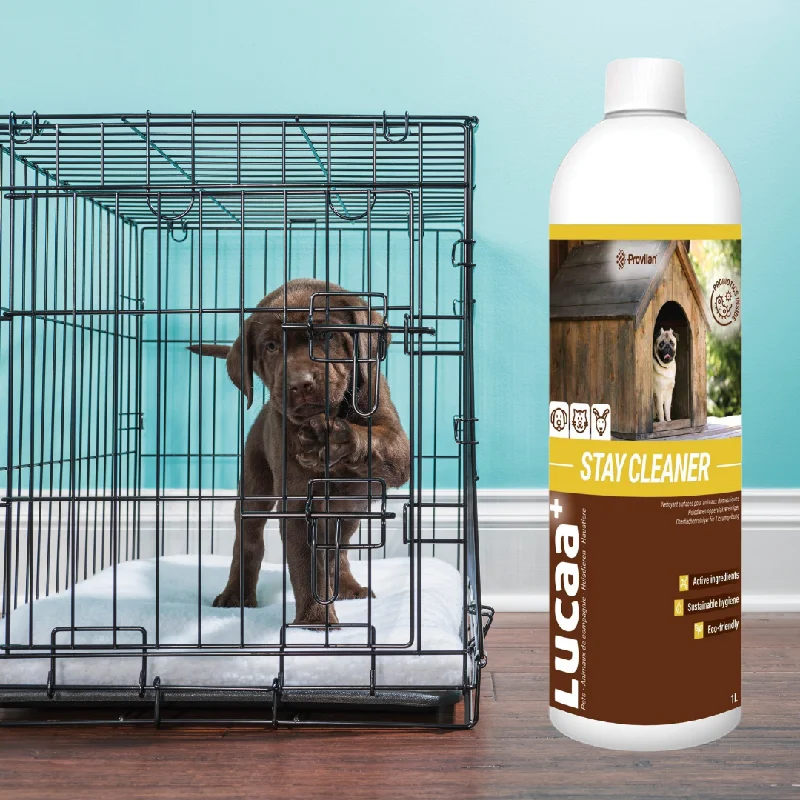 - Chinchilla cooling ice nest ceramic plateProbiotic Stay Kennel Cleaner (100:1 Concentrate) | Provilan Lucaa+
