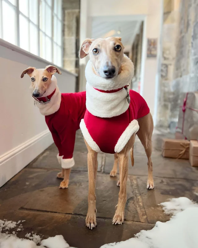 - Teething and chewing toys for puppiesChristmas Jumper - Iggy Sizes