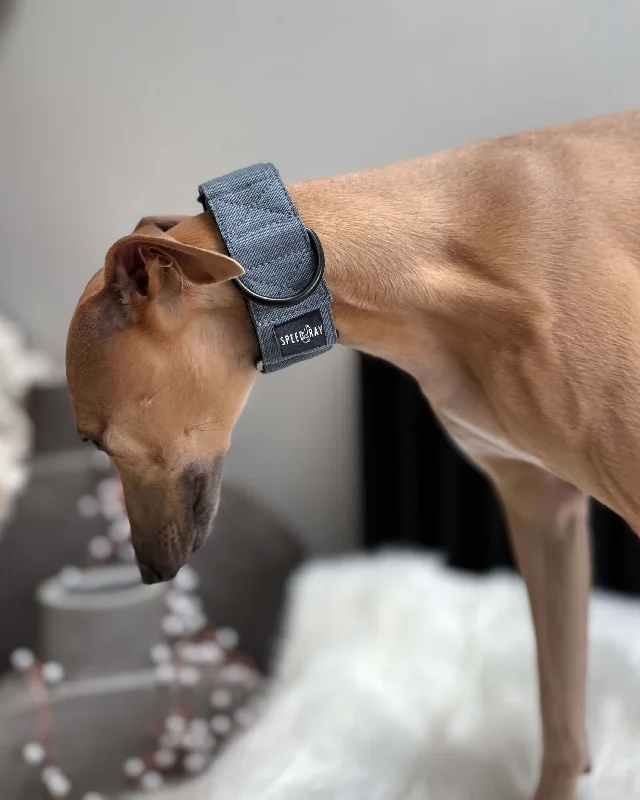  -Anti-slip claw protection raincoat FOR dogsThe ELSA Martingale Collar - Earthy Tones