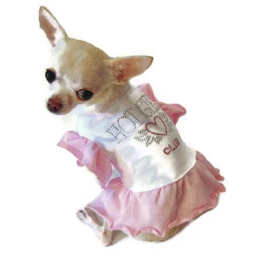 - Pet vitamin complex nutrition tabletsHot Girls Club Dog Dress
