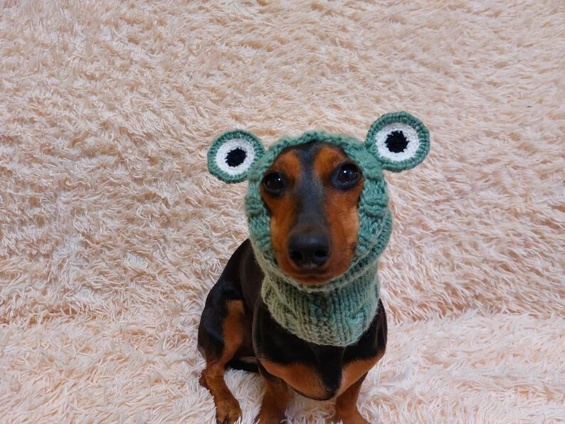 - Pet tear stain cleaning wipesSnood hat for dog frog, dachshund snood frog