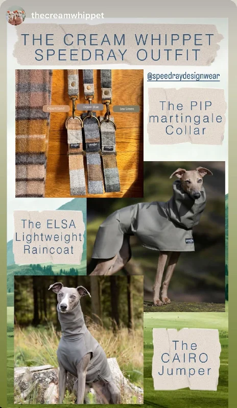 - Natural latex pet mattressFull outfit Bundle 10