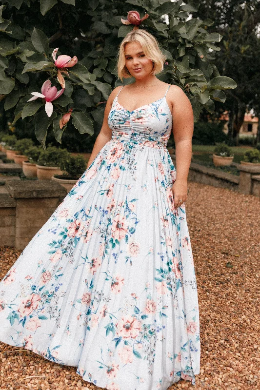 - Pet vitamin complex nutrition tabletsNaira Pleated Maxi Dress - Blue Floral
