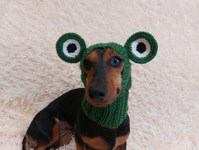 - Cat stress soothing sprayFrog dog hat,frig dog cloches hat snood