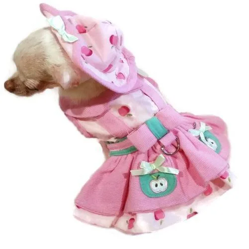 - Teething and chewing toys for puppiesApple Picking Dog Harness Dress Set