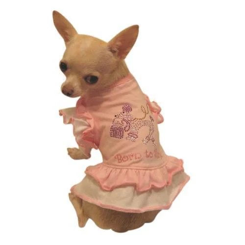 - Pet stroller can be taken on the planeBorn To Shop Dog Dress