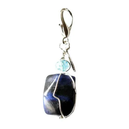 - Organic cotton dog bibsSodalite Healing Dog Collar Charm Pawmulet