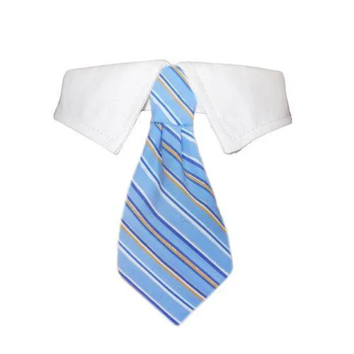 - Deodorizing cat litter tofu litterKyle Dog Shirt Collar