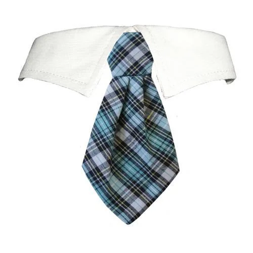 - Parrot climbing and standing wooden frameJames Dog Shirt Collar