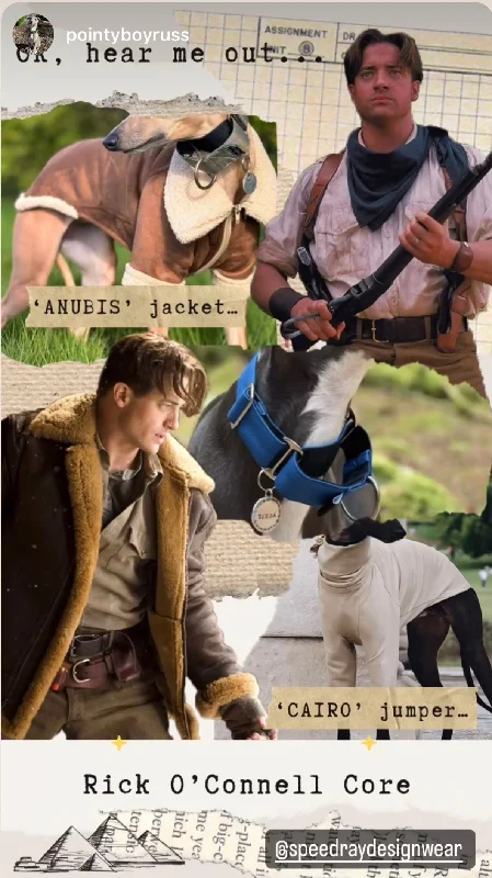 - Pet monitor with cameraFull outfit Bundle 4