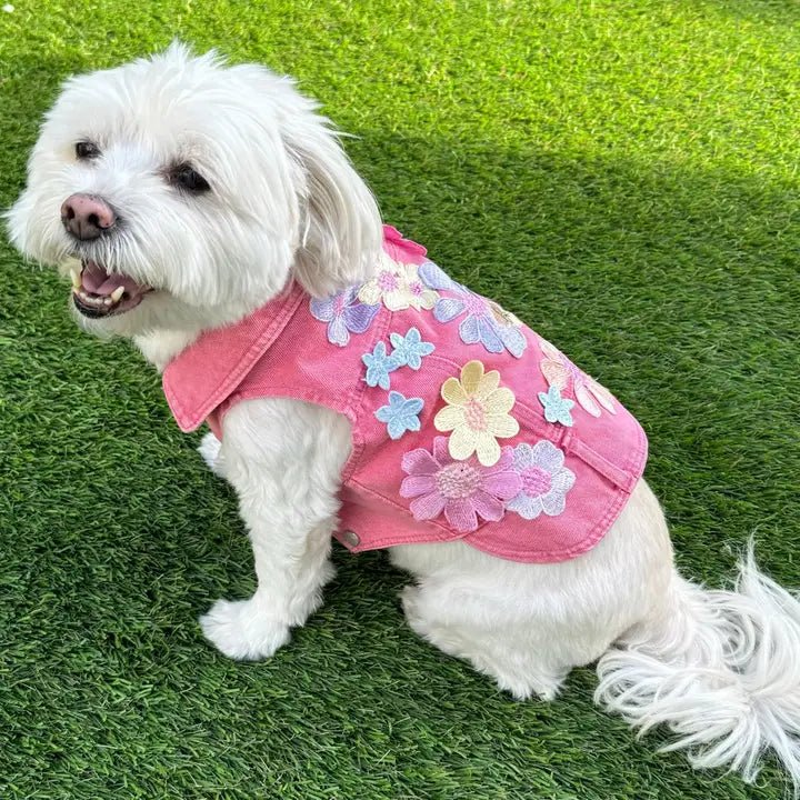Pet raincoatFlower Girl Denim Vets