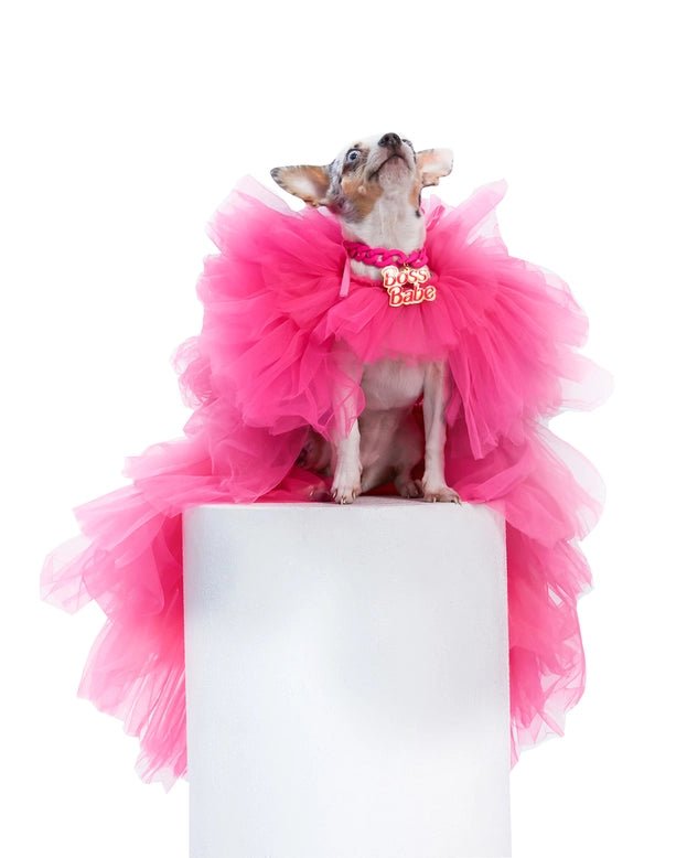 Pet walking leash setBoss Babe Gown