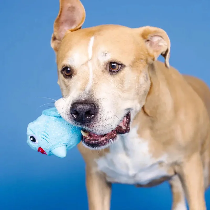 - Postoperative pet anti-licking Elizabethan collarPetShop by Fringe Out of the Blue Rubber/Plush Dog Toy