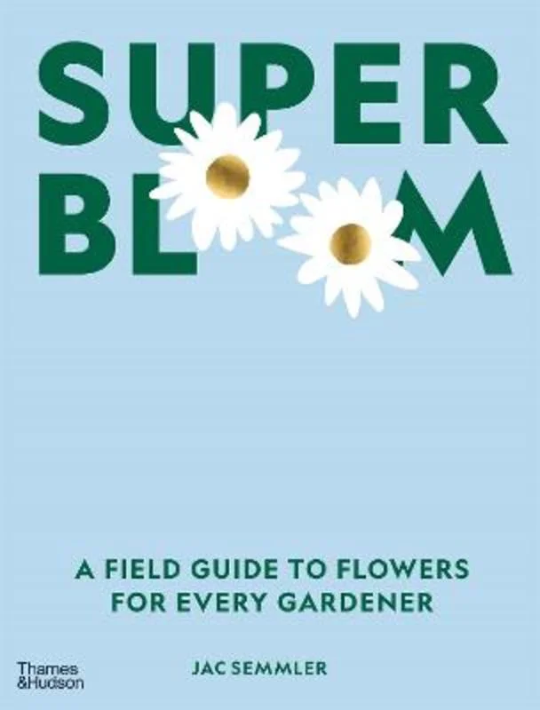 - Postoperative pet anti-licking Elizabethan collarSuper Bloom