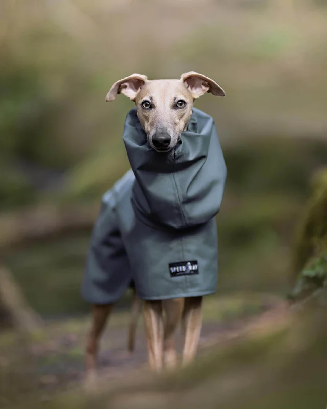  -Anti-scratch scratching board AND cat bed in oneTHE ELSA Raincoat - Greyhound Size
