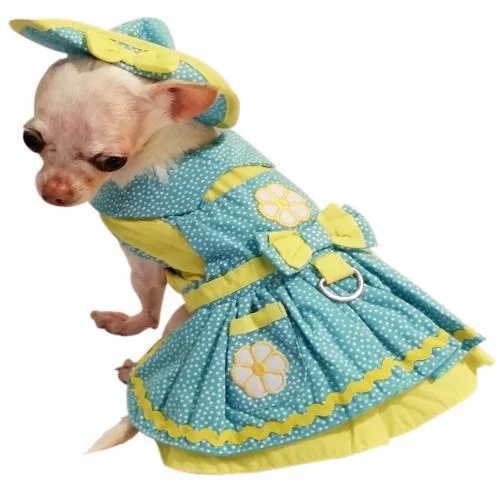 ---Crazy Daisy Dog Harness Dress Set