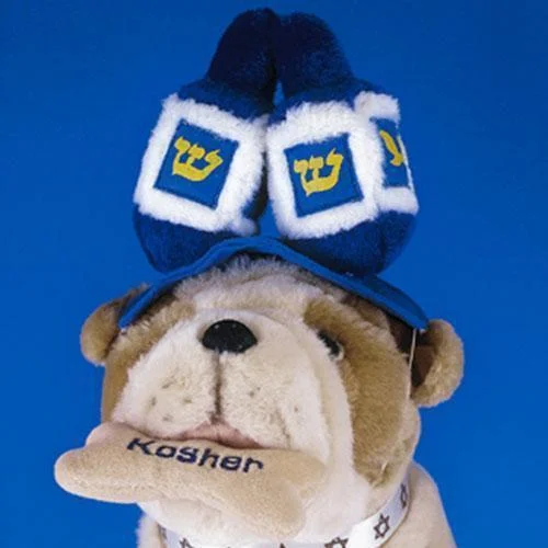 - Remote interactive pet feederDreidel Dog Hat