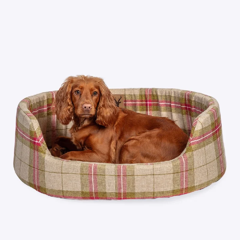 - Remote interactive pet feederNewton Moss Slumber Dog Bed by Danish Design