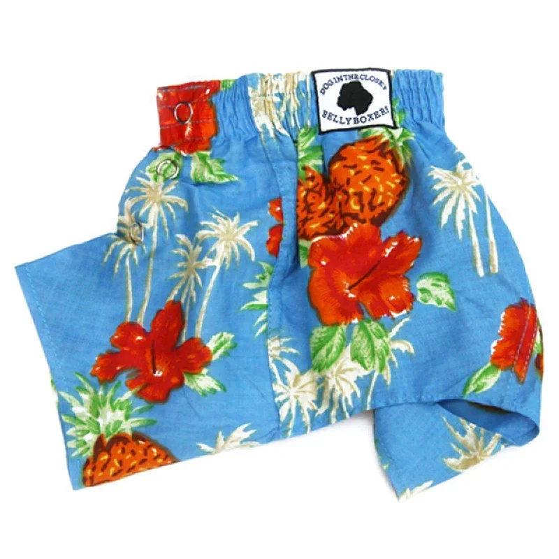 - Pregnant cat delivery room warming boxDog Belly Band Boxers Lahaina