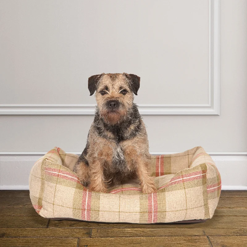  -Non-contact cat thermometerNewton Moss Snuggle Bed by Danish Design