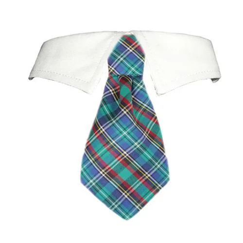- Parrot climbing and standing wooden frameEli Dog Shirt Collar