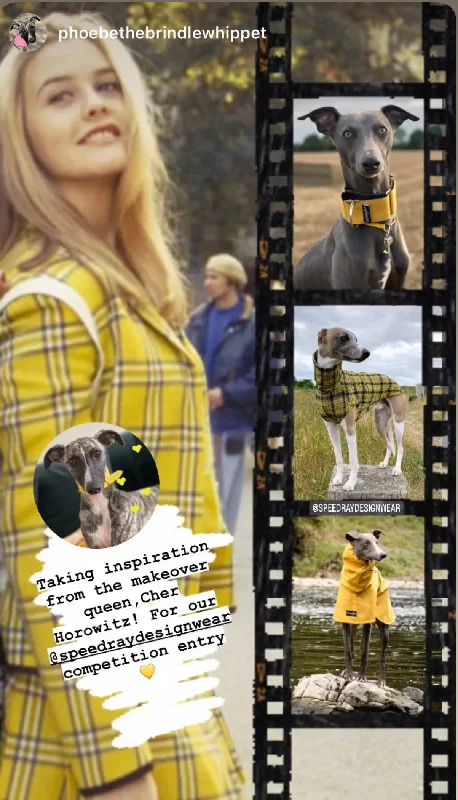 - Pet smart GPS locatorFull outfit Bundle 3