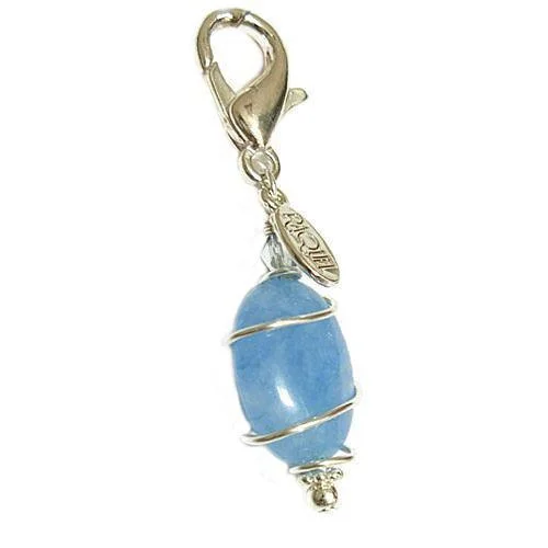  -Anti-slip claw protection raincoat FOR dogsAquamarine Healing Dog Collar Charm Pawmulet