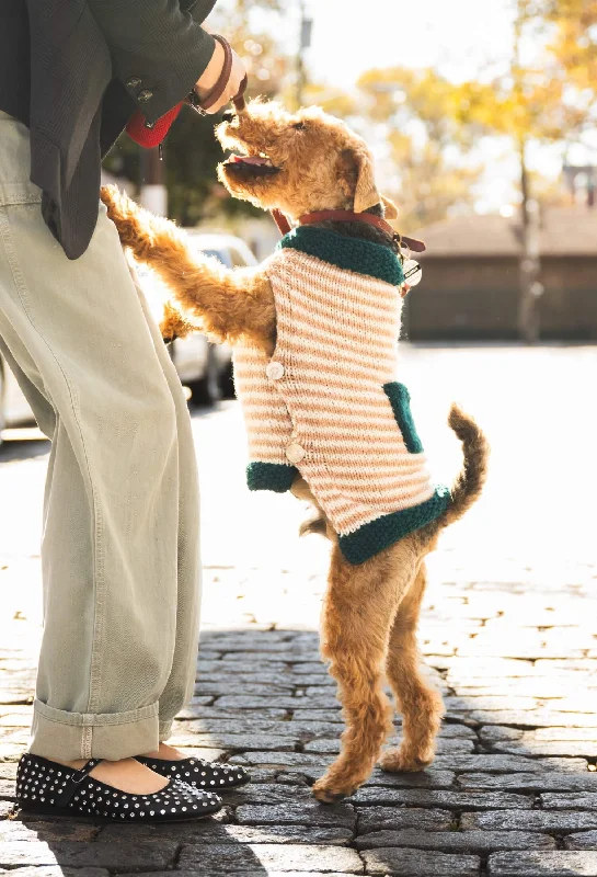 Pet ProductsGood Dog Sweater (Knit)