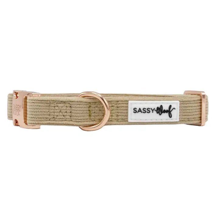 Dog clothesBest Pup Wedding Collar
