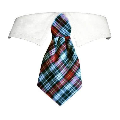 - Parrot climbing and standing wooden frameJeff Dog Shirt Collar