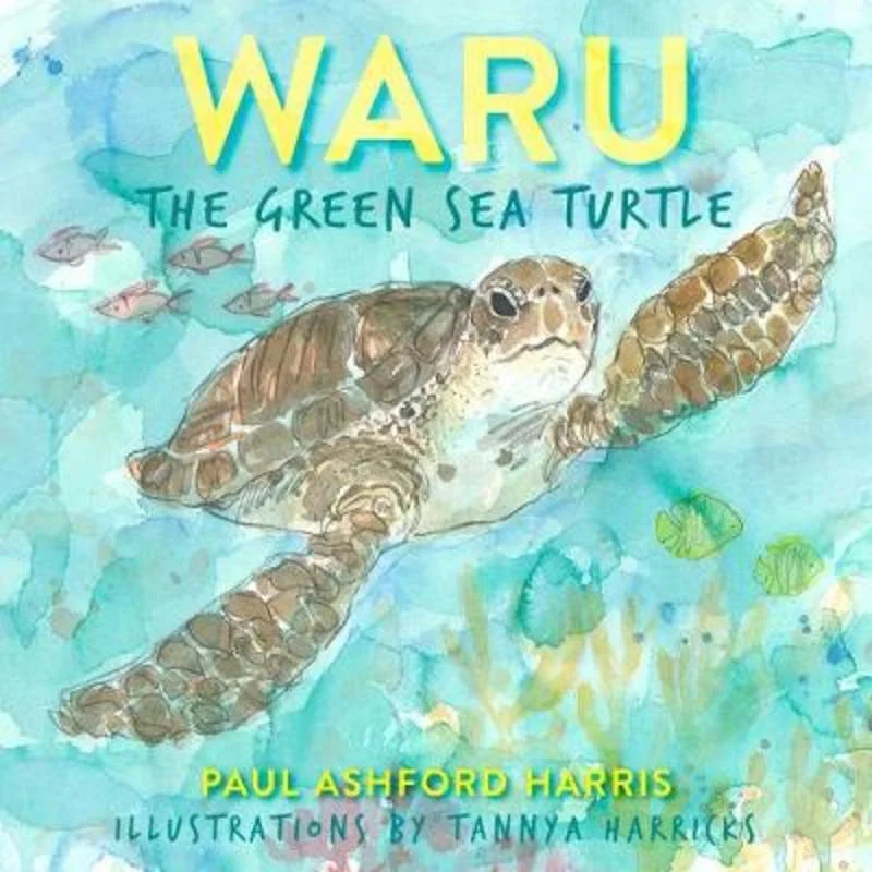 ---Waru the Green Sea Turtle