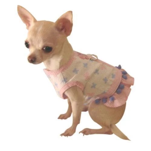 - Custom pet birthday cakeBrilliant Butterfly Ruffle Dog Harness Dress Set