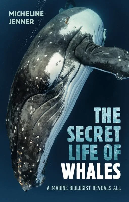 - Dog anti-slip matThe Secret Life of Whales