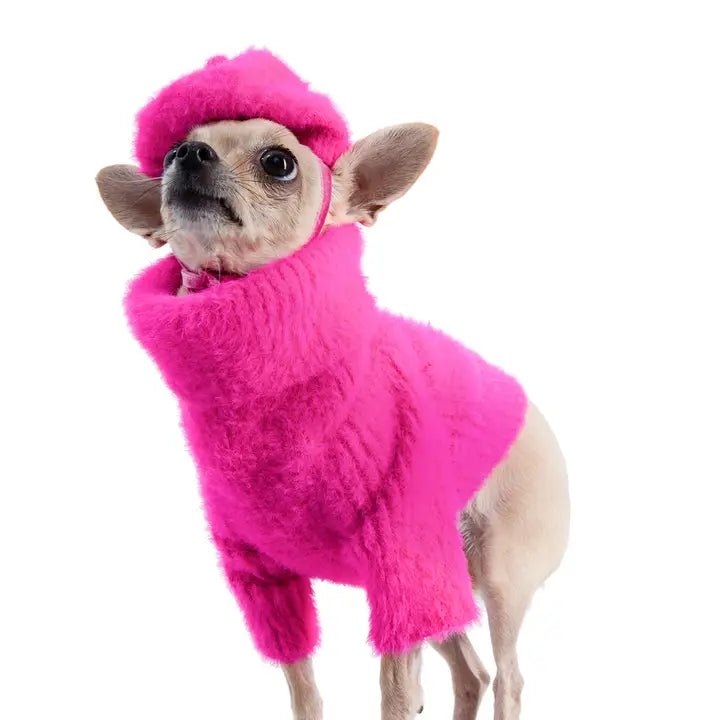 XX brand pet fashionLoves It Dog Sweater & Hat