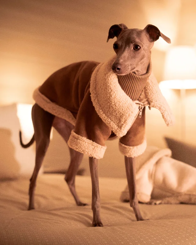 - Dog anti-slip matTHE ANUBIS Flying Jacket - Iggy Size