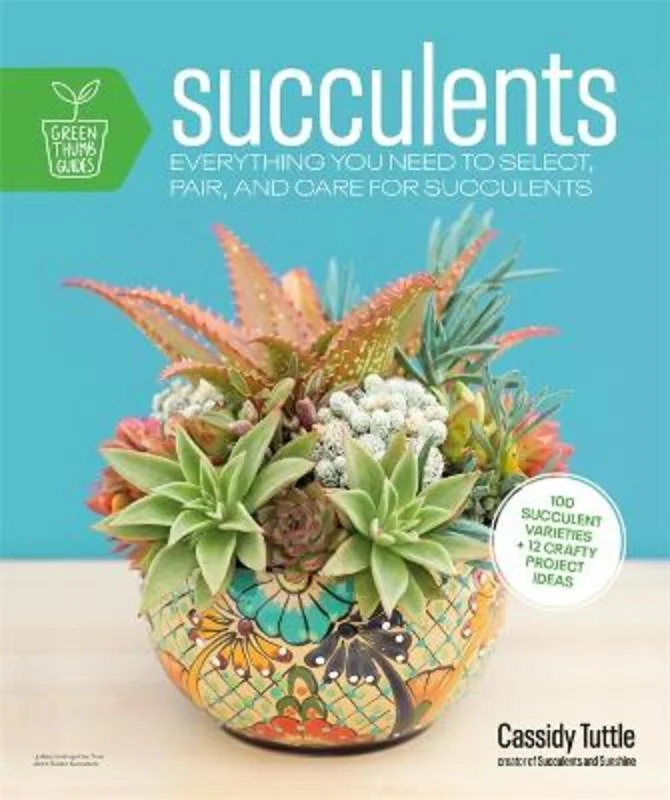 - Automatic temperature adjustment cat bedSucculents