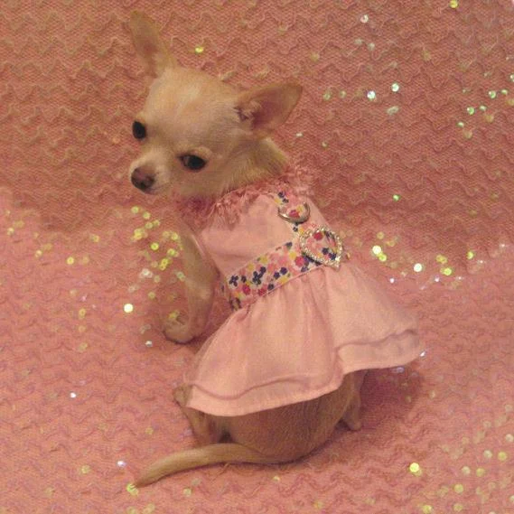 - Hamster silent running wheel to prevent chewingPink Fantasy Floral Dog Harness Dress Set