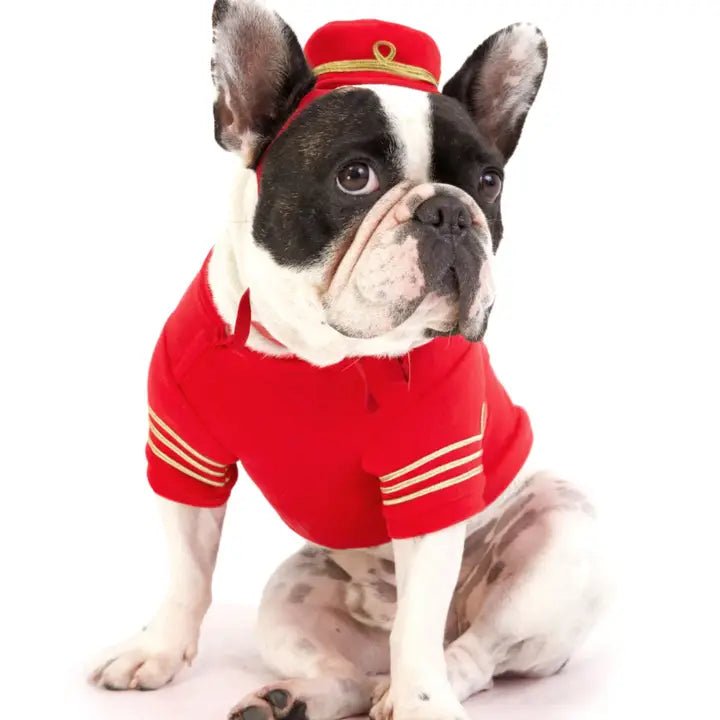 Combined with specific occasions:Empire Dog Sweatshirt