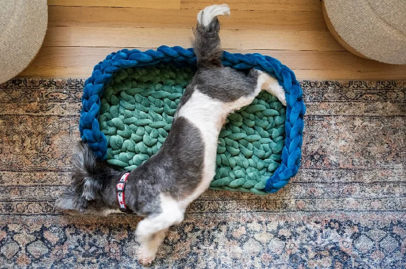 - Car dog seat beltPet Bed (Crochet)